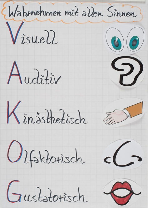 Wie wahr ist unsere&nbsp;Wahrnehmung?